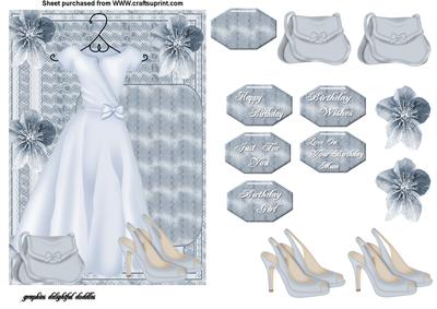 Dress Bag and Shoes