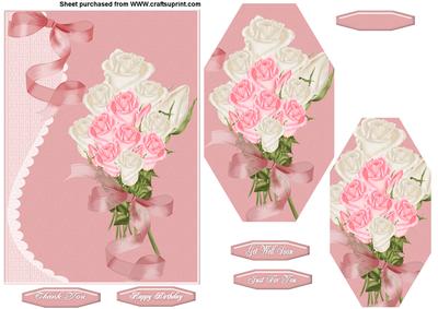 Pink and Cream Roses