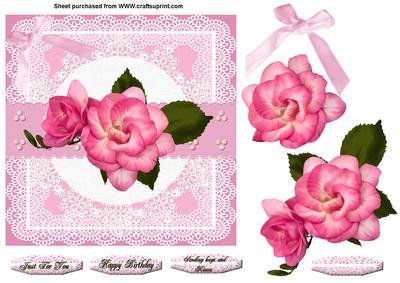 Pink Rose on Lace