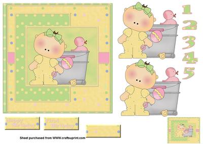 Baby`s First Birthday