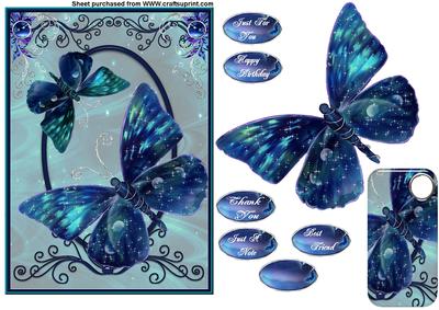 2 Butterflies