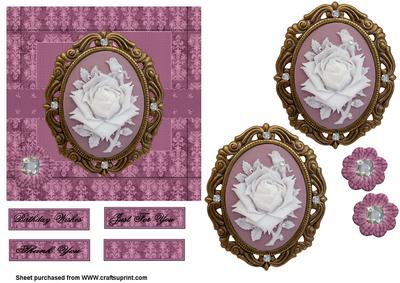 Cameo Rose