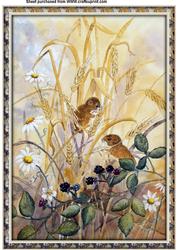 A4 Field Mice