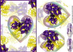 Purple Iris