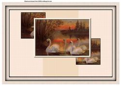 A4 Sunset Swans