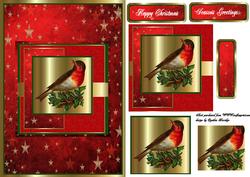 A5 Christmas Robin