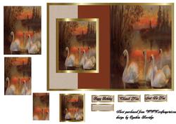 Swans Centre Fold Back