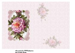 Pink Lace and Pearls Insert