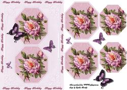 A 5 Birthday Roses