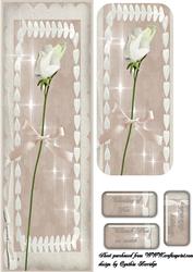 Sweet Pea Dl