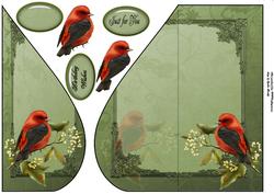 Bird Teardrop