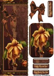 Orange Rose Dl
