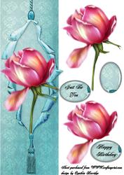 Dl Rose on Blue
