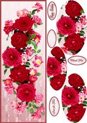 Red Rose Dl