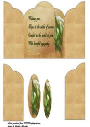 Lily Gatefold Sympathy