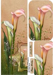 Peach Lily Dl