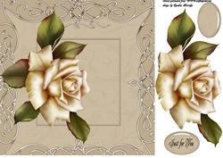 8x8 Framed Rose