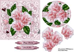 6x6 Pink Roses