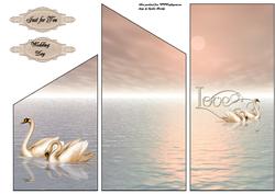 Sunset Swans Cascade Card