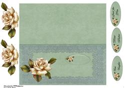 Cream Rose Dl