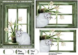 Jules in the Window