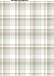 Plaid Paper 4