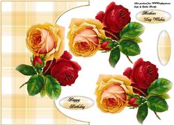 Red and Orange Roses