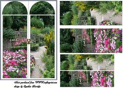 Through the Window Spring Garden