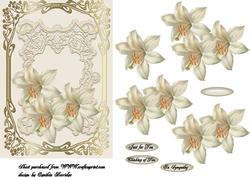 Cream Sympathy