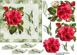 Red Rose and Butterflies