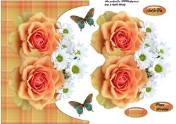 Orange Roses