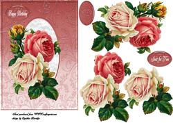 Cream Pink Roses