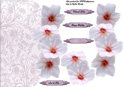 A5 Over the Edge Flowers