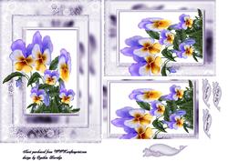 Pansies and Lace
