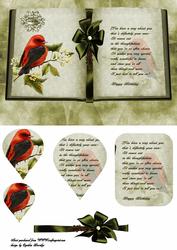 Colourful Bird Book