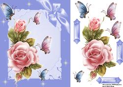 Blue Frame Rosy Glow