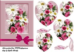 Summer Flowers