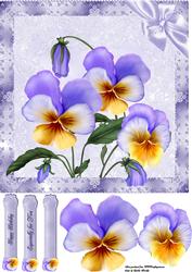 8x8 Pansies Lace