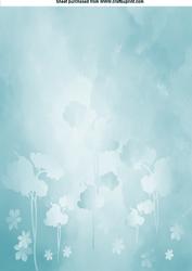 Softpaper5