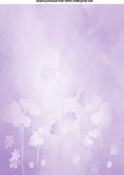 Softpaper 7