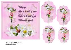 Pink Sympathy 6x6