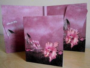 Shoe Book Kit with Card Plus Insert