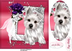 Westie