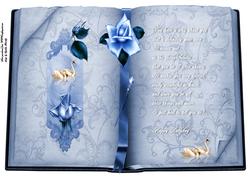 A4 Book