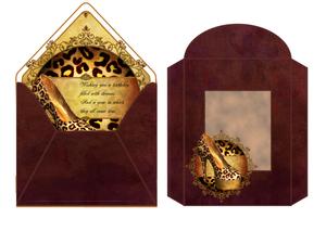 Envelope Shoe Kit