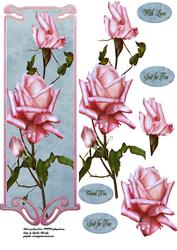 Large Dl Pink Roses