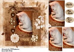 Have a Purrfect Day