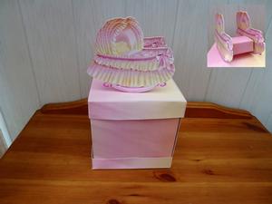Baby Girl Rocking Crib and Box