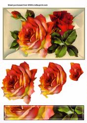 Vintage Roses