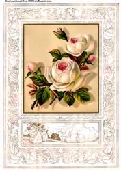 Floral Framed